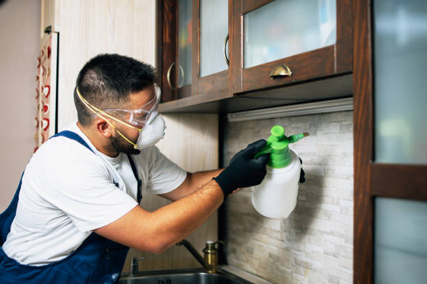 Best Mosquito Control Services  in Grambling, LA