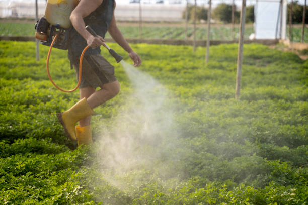 Best Pest Inspection Near Me  in Grambling, LA