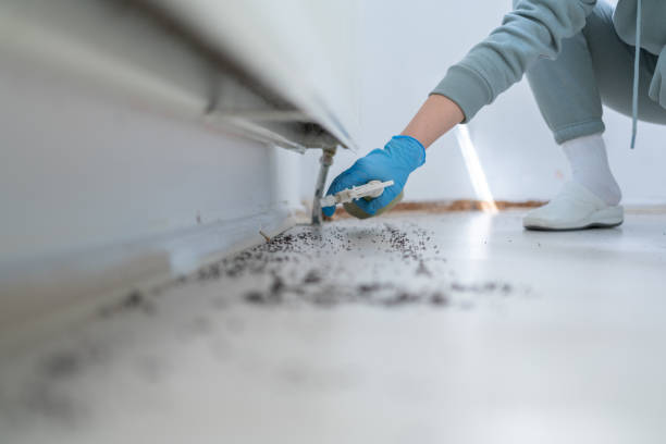 Best Cockroach Control Services  in Grambling, LA